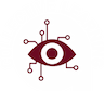 Collective Learning